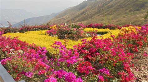PARQUE NACIONAL DE CHICAMOCHA (2025) All You Need to Know BEFORE You Go ...