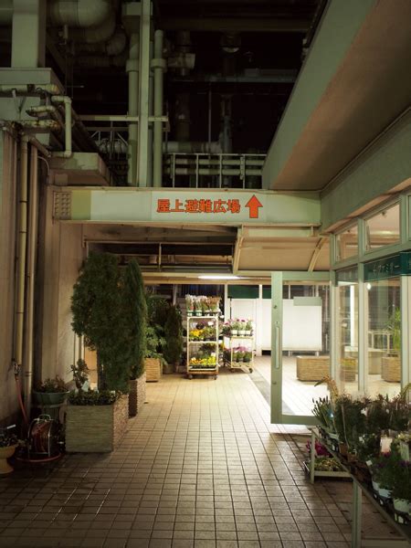 Photo 大丸京都店の屋上