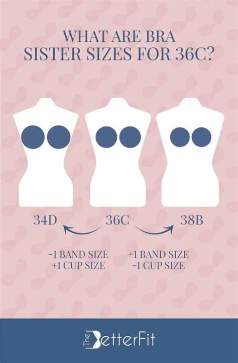 How Big Is a 36C Bra Cup Size? | TheBetterFit