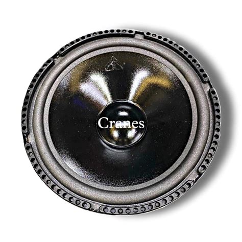 Cranes 10 Inch SUBWOOFER | 150 Watts | Glossy Black Form Woofer ...