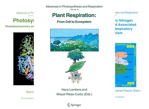 Advances in Photosynthesis and Respiration (24 book series) Kindle Edition