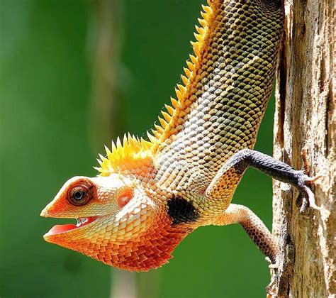 Bethune College, Kolkata