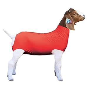 Show Pro Red Spandex Goat Tube for Show Goats - Show Livestock Supplies ...