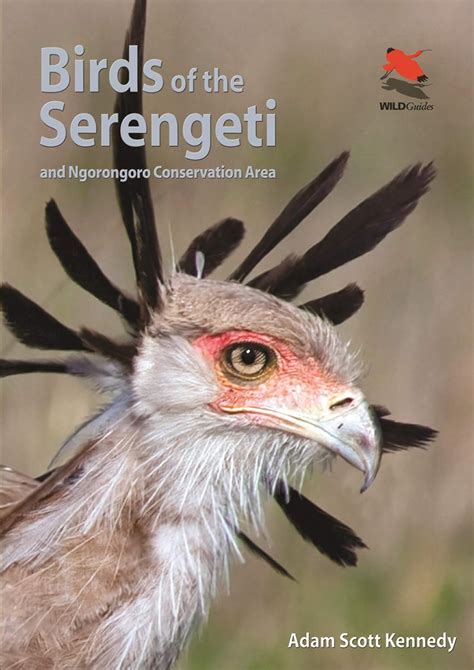 Birds of the Serengeti: And Ngorongoro Conservation Area (Wildlife ...