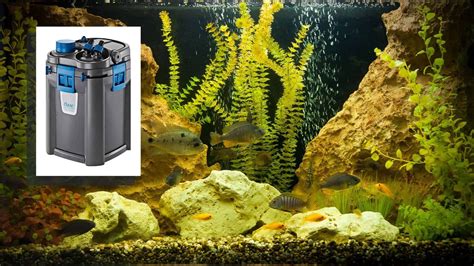 Image result for External Fish Filter Calcium Buildup
