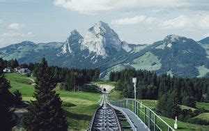 Wallpaper railway, rails, trees, autumn, landscape hd, picture, image