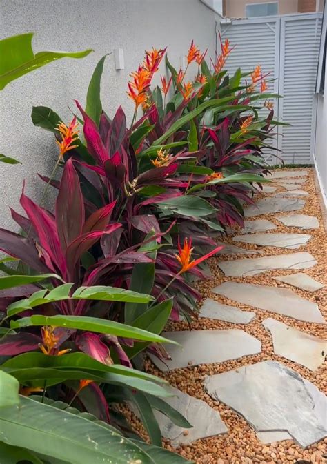 Tropical Garden Design Ideas
