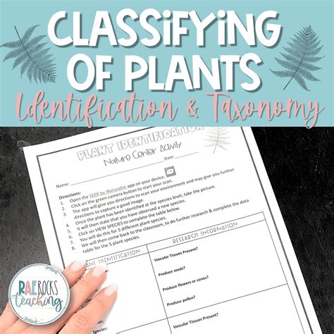 Image result for CLIL Lesson On Classifying Plants