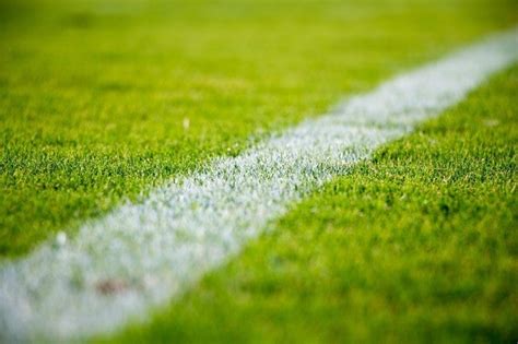 Neuer Rasen für´s Jahnstadion Regensburg kommt | charivari