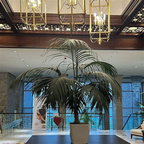 SHAHDAG HOTEL & SPA (Qusar) - Hotel Reviews, Photos, Rate Comparison ...