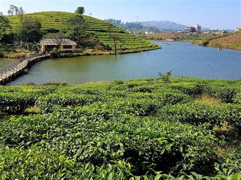 Vagamon Tourism (2024): All You Need to Know Before You Go