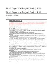 Image result for Capsone Project Course Hero