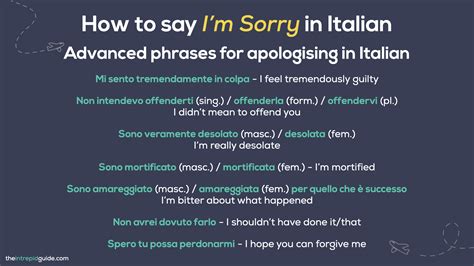 50+ Phrases to Say 'I'm Sorry' in Italian for Every Occasion + FREE PDF ...