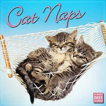 Buy 2021 Cat Naps 16-Month Wall Calendar Book Online at Low Prices in ...