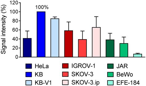 Folate Receptor-Positive Gynecological Cancer Cells: In Vitro and In ...