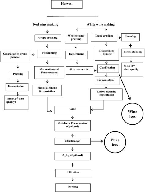 Wine Making Process 的图像结果