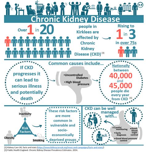 Causes Of Kidney Disease