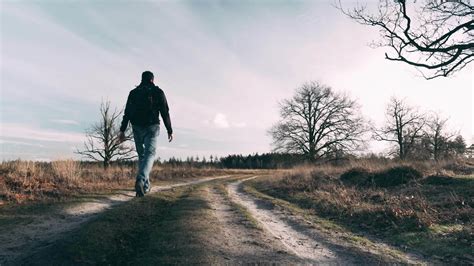 Walking 的图像结果