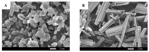 Purification of Two Taxanes from Taxus cuspidata by Preparative High ...