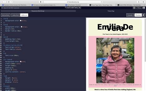 Image result for Tribute Page HTML