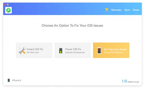 Image result for iOS Recovery Screen