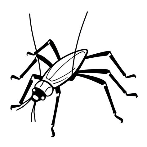 [Theme: bug] true crickets insect, simple clipart, coloring book for ...