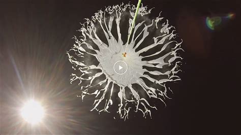 Image result for Balloon Pop Science Project