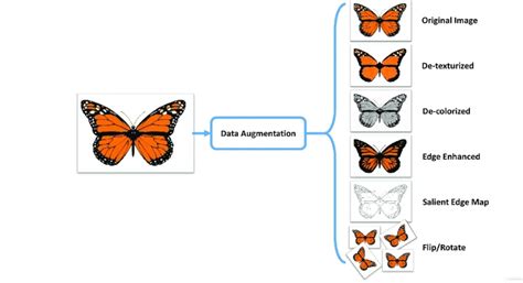 Image result for Data Augmentation in Machine Learning Graphics