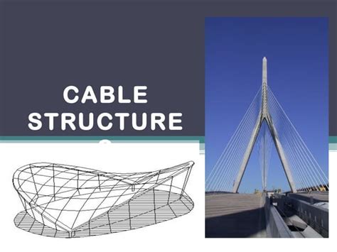 Cable Structure System Examples 的图像结果