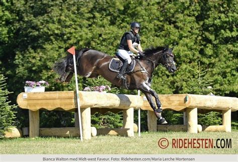 Hunting klasse, propositioner kommer i marts og der skal anmeldes via ...