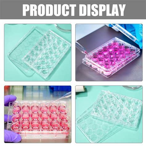 GLEAVI 2pcs Cultivation Plates 24 Well Cell Culture India | Ubuy