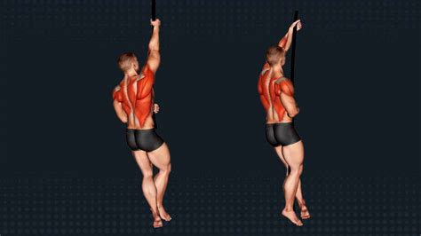 Image result for Rope Climb Tutorial