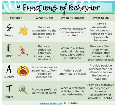 Image result for Functions of Behavior Visual