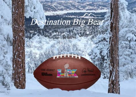 Big Bear Eagles Nest Watch - Destination Big Bear
