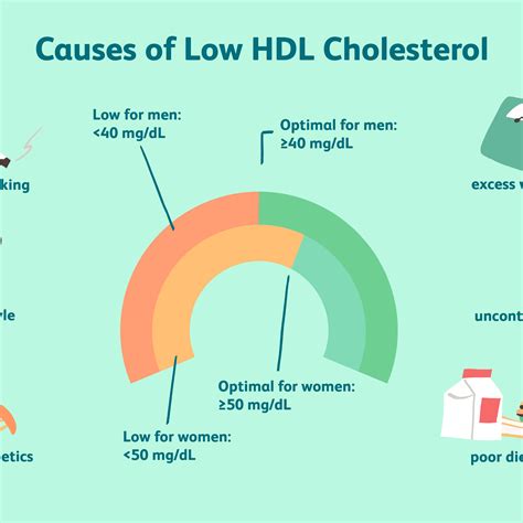 Perfect Info About How To Increase Hdl In Body - Effectsteak33