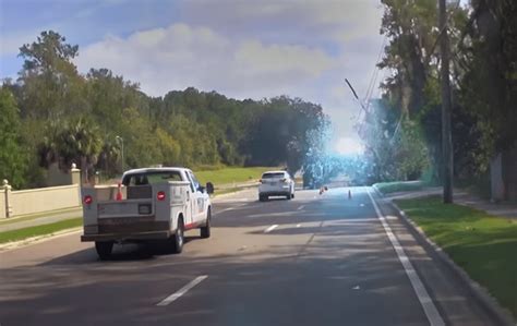 Image result for Tree Falling Hit Power Line