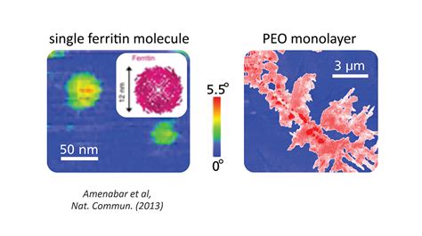 Snom Spectroscopy 的图像结果