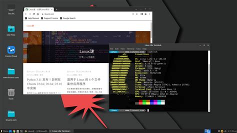 Linux Lite 64-Bit 的图像结果