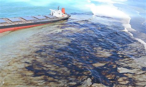 Image result for Get Prime Numbers Python