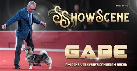 March 19th, 2025 – ShowScene