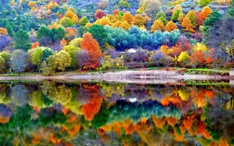 Image result for Beautiful Autumn Fall
