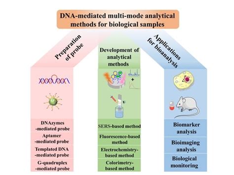 Recent Advances in the DNA-Mediated Multi-Mode Analytical Methods for ...