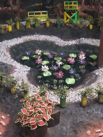 Thread Garden (Ooty) - 2018 What to Know Before You Go (CAN'T MISS ...