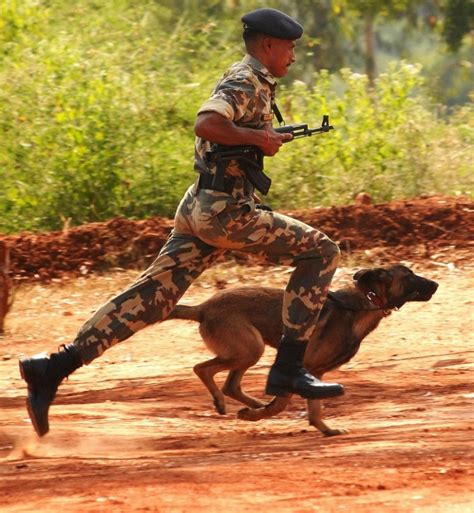 India's Sniffer Dog Squad Has 16 New Members, Here's A Look At Some Of ...