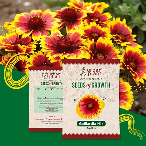 Gaillardia Mix Flower Seeds