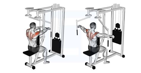 Image result for Reverse Fly Over FitBALL