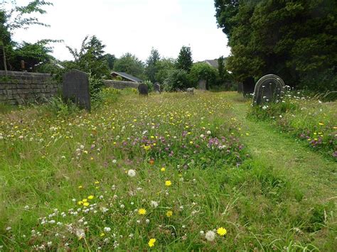 Climate Conversation: Launch of a Nature Recovery Plan for Horsforth ...