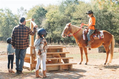 Fancy Forest Farm – Beautiful guided horseback riding, just south of ...