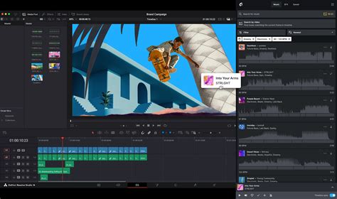 Plugin for DaVinci Resolve Studio | Epidemic Sound