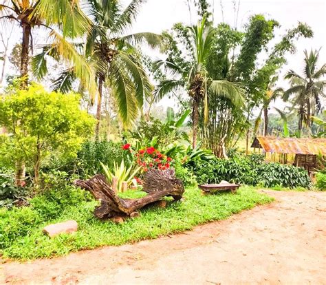 The lake Stream Retreat Coorg - Resorts Coorg